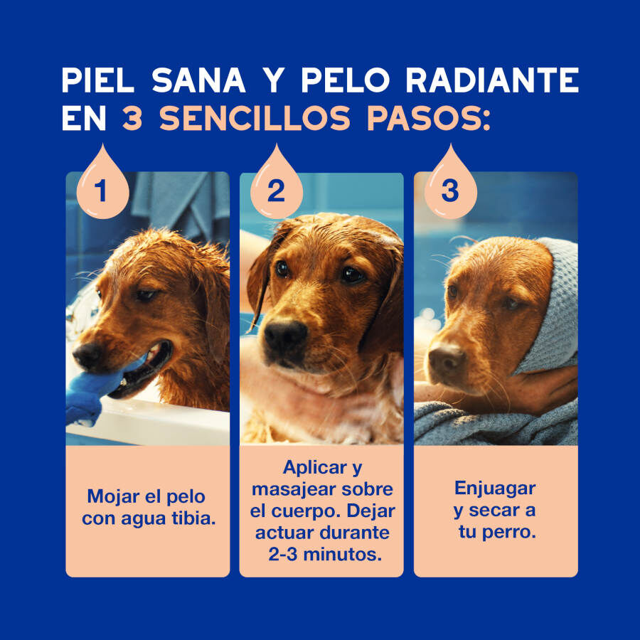 Ceva Douxo Spa Champ&uacute; Control de Muda para perros, , large indicador imagen numero 5