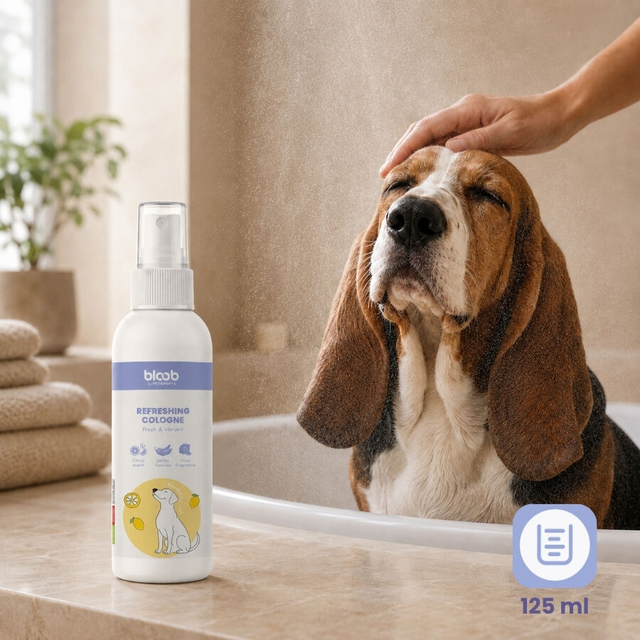 Bloob Colonia Refrescante Yuzu para perros, , large indicador imagen numero 6