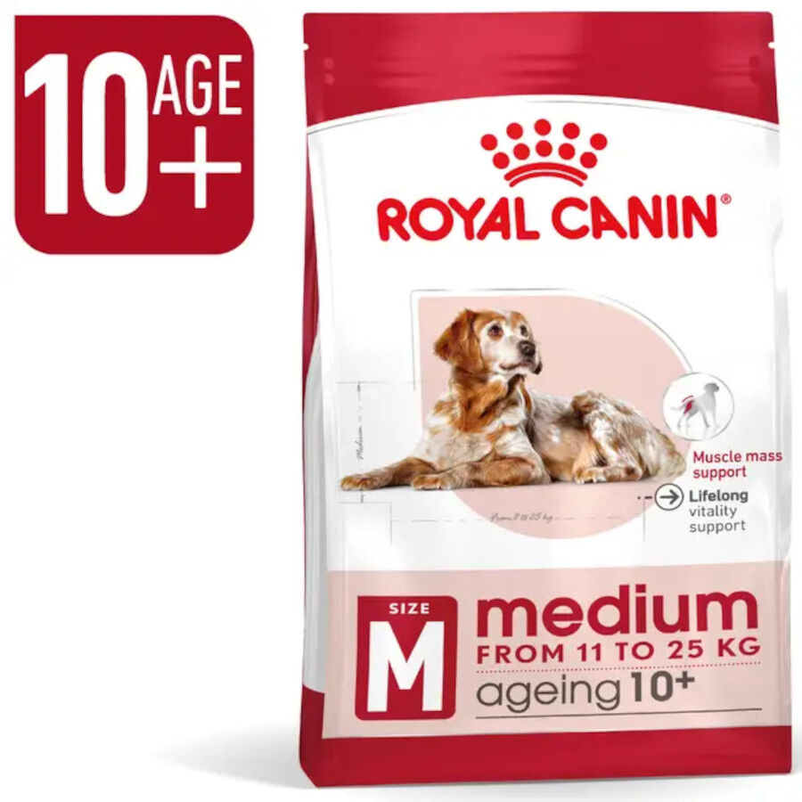 15 kg Royal Canin Medium 10+ Ageing pienso para perros&nbsp;senior, , large indicador imagen numero 3