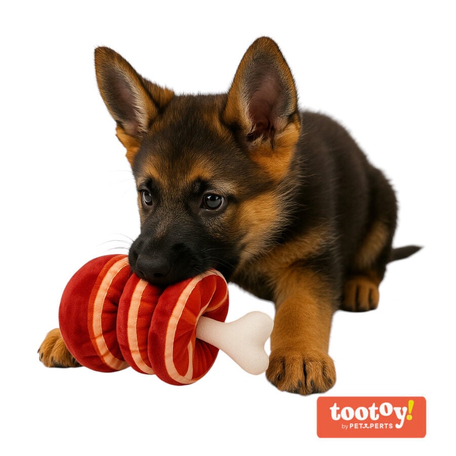 Tootoy! Comfort Beefy Thigh Cuddler peluche con sonido para perros, , large Imagen numero 2