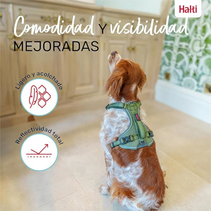Halti arn&eacute;s anat&oacute;mico con asa verde para perros, , large indicador imagen numero 5