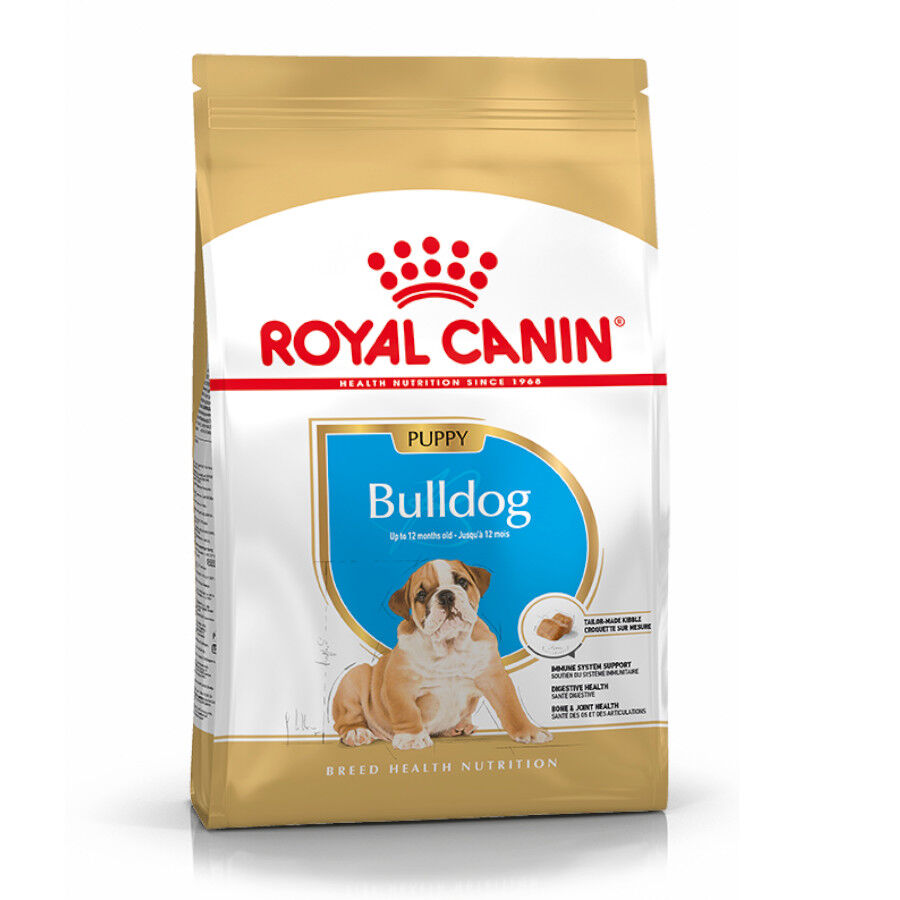 12 kg Royal Canin Puppy Bulldog pienso para perros, , large indicador imagen numero 2