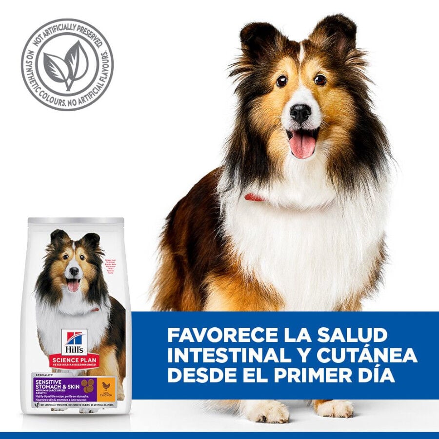 14 kg Hill's Science Plan Sensitive Stomach y skin Adult Pollo pienso para perros, , large indicador imagen numero 3
