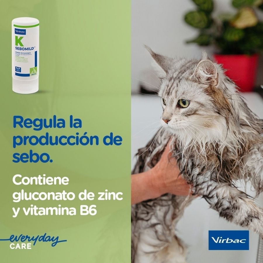 Virbac Sebomild Champ&uacute; para pieles grasas en perros y gatos, , large Imagen numero 4