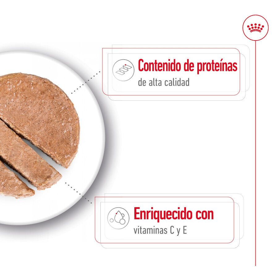 410 g Royal Canin Medium Adult Pat&eacute; lata para perros, , large indicador imagen numero 3