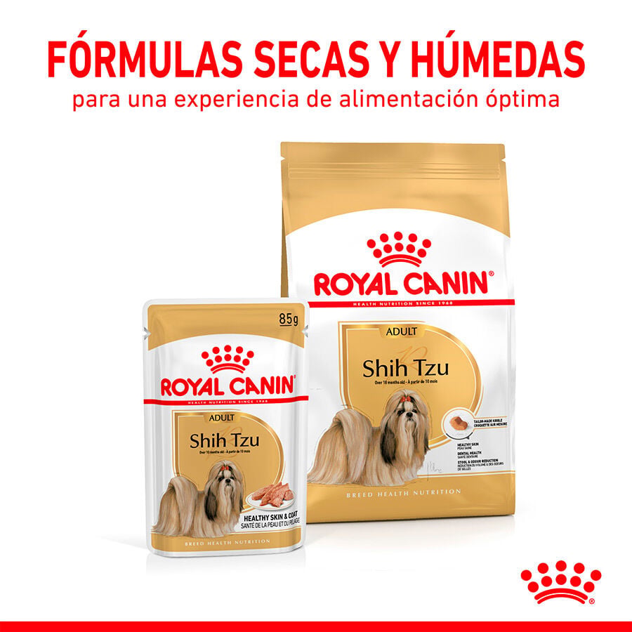 85 g Royal Canin Adult Shih Tzu Pat&eacute; sobre para perros, , large Imagen numero 6
