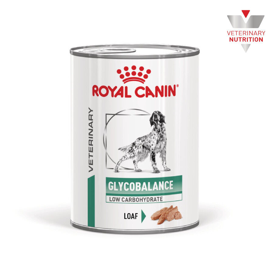 Royal Canin Veterinary Glycobalance Lata para perros