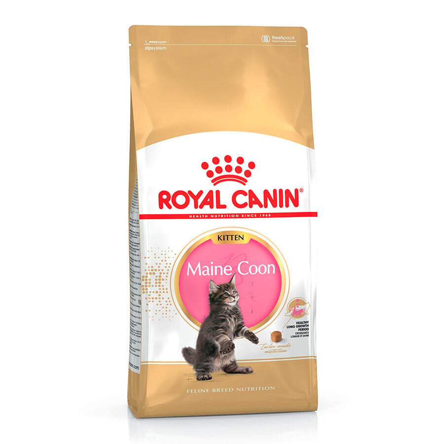 10 kg Royal Canin Kitten Maine Coon pienso para gatos, , large Imagen numero 1