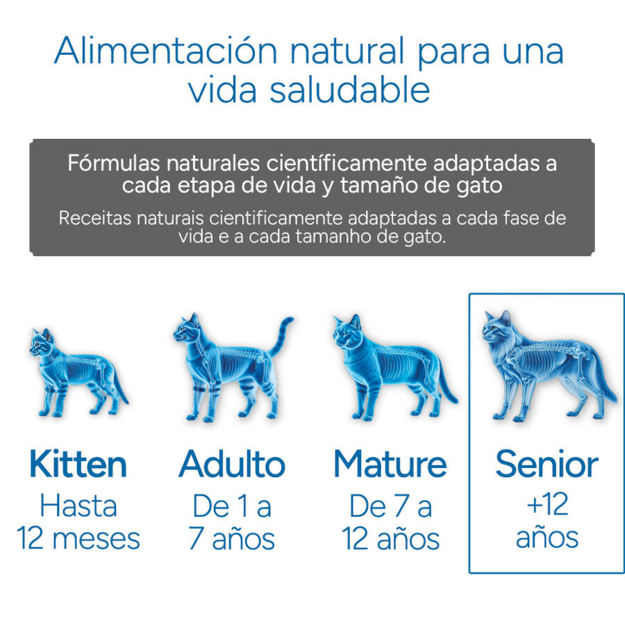 2 kg Criadores Cient&iacute;fico Senior +12 Pescado pienso para gatos, , large indicador imagen numero 11