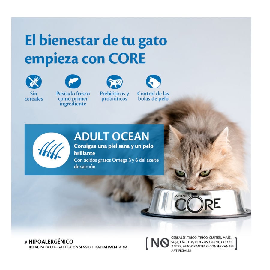 4 kg Wellness Core Adult Ocean Salm&oacute;n y At&uacute;n pienso para gatos, , large indicador imagen numero 2