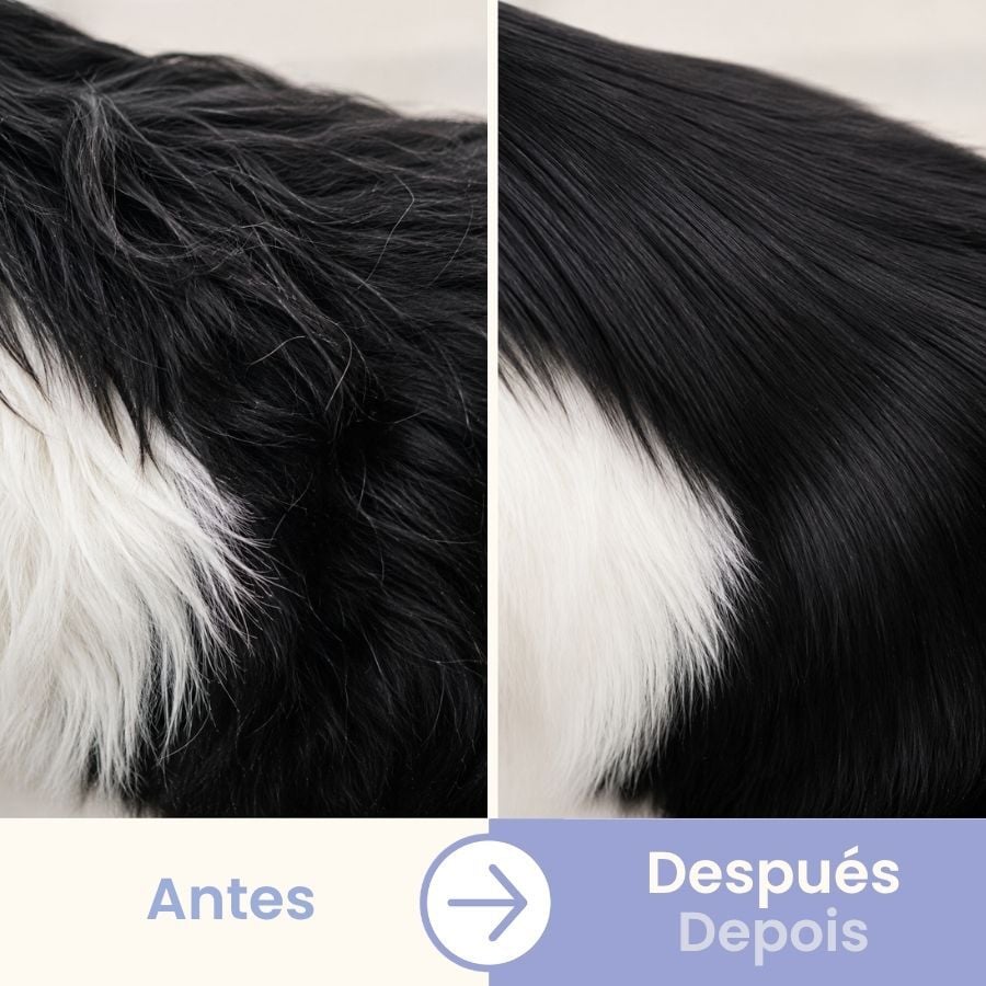 Bloob Guante de Cepillado para perros, , large Imagen numero 5