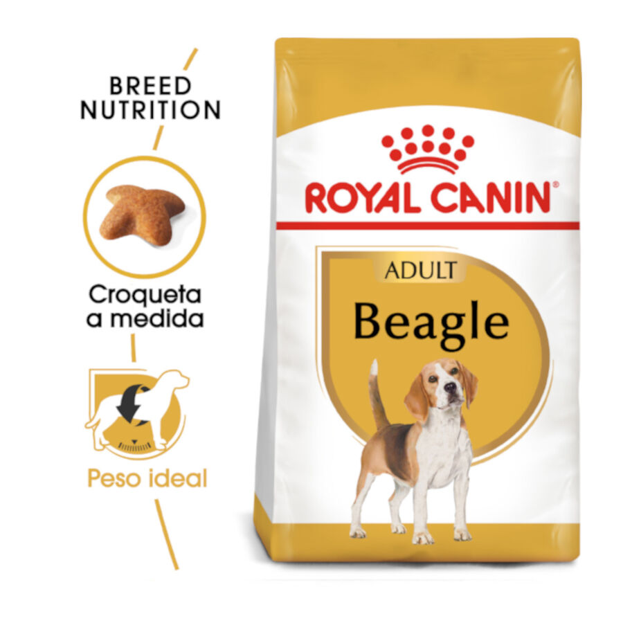 12 kg Royal Canin Adult Beagle pienso para perros, , large indicador imagen numero 2