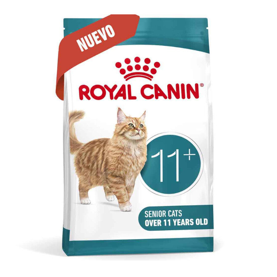 Royal Canin Ageing 11+ pienso para gatos senior