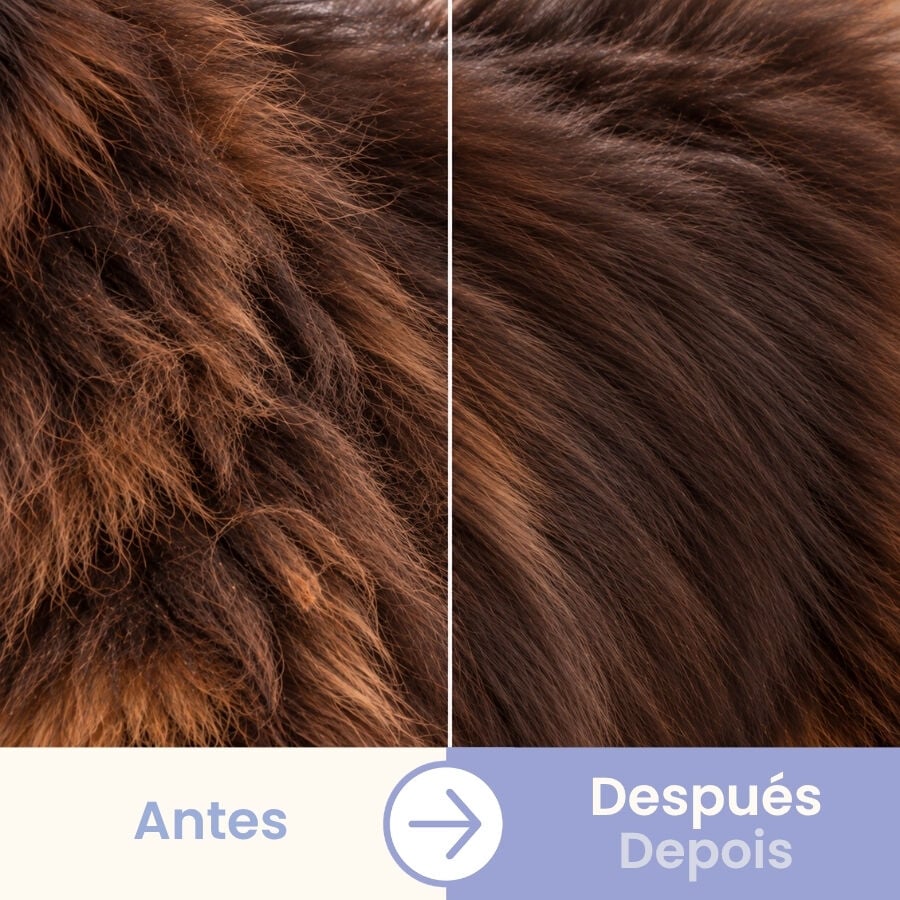 Bloob Rastrillo Deslanador Subpelo para perros, , large indicador imagen numero 5