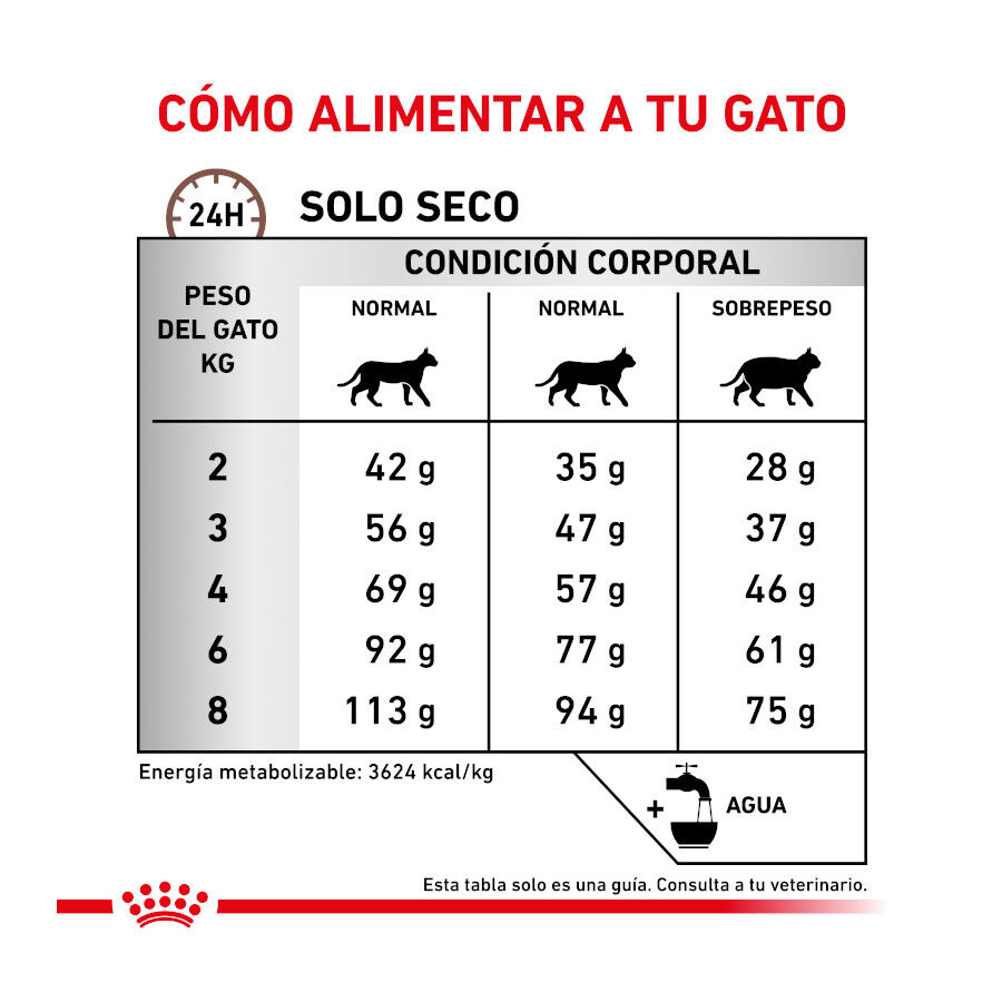 2 kg Royal Canin Veterinary Gastrointestinal Hairball pienso para gatos, , large indicador imagen numero 8