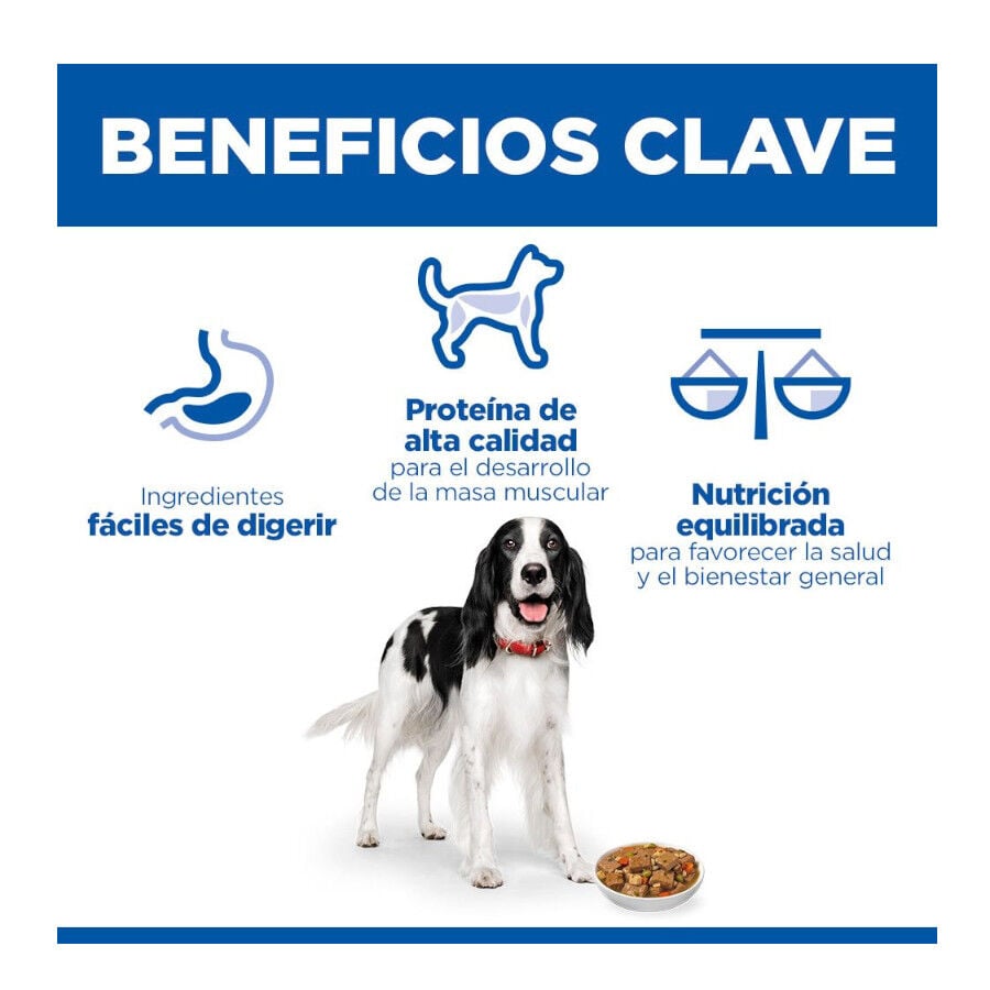 363 g  Hill's Science Plan Adult Estofado con pollo y verduras lata para perros, , large indicador imagen numero 3