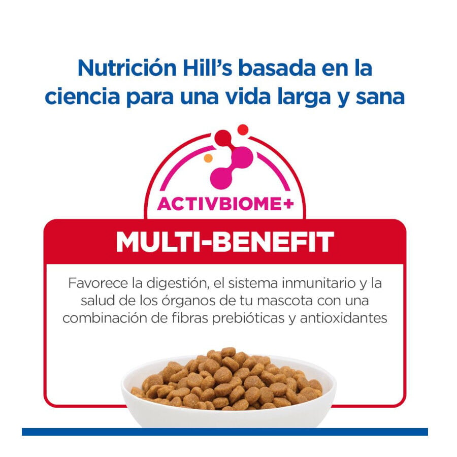 1.5 kg Hill's Science Plan Pienso Salm&oacute;n para gatitos, , large indicador imagen numero 8