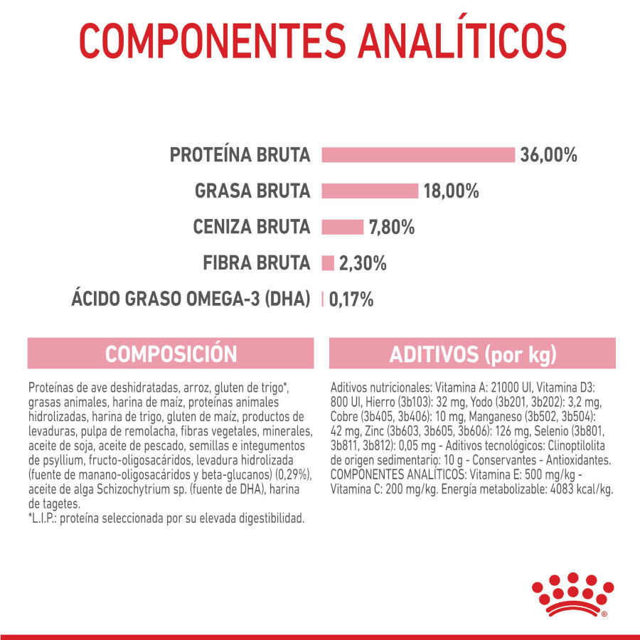 4 kg Royal Canin Kitten pienso para gatos, , large Imagen numero 9