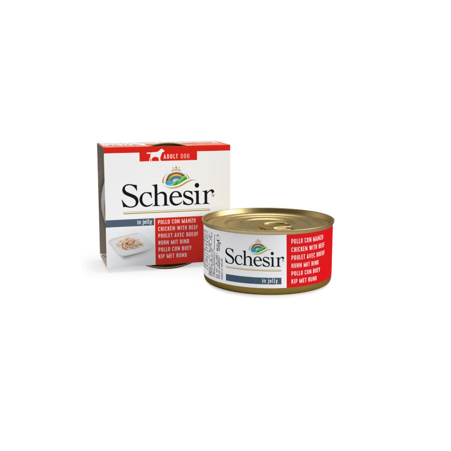 150 g Schesir Adult pollo y buey  en gelatina lata para perros, , large indicador imagen numero 1
