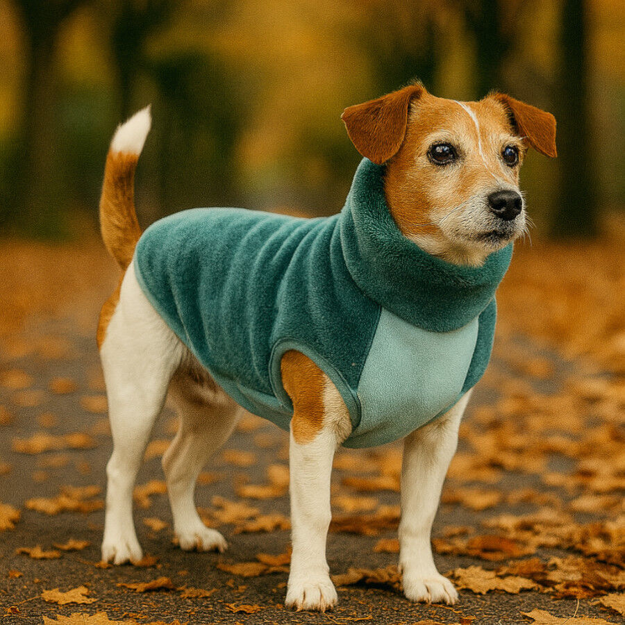 Outech Forro Polar Aguamarina para perros, , large Imagen numero 1