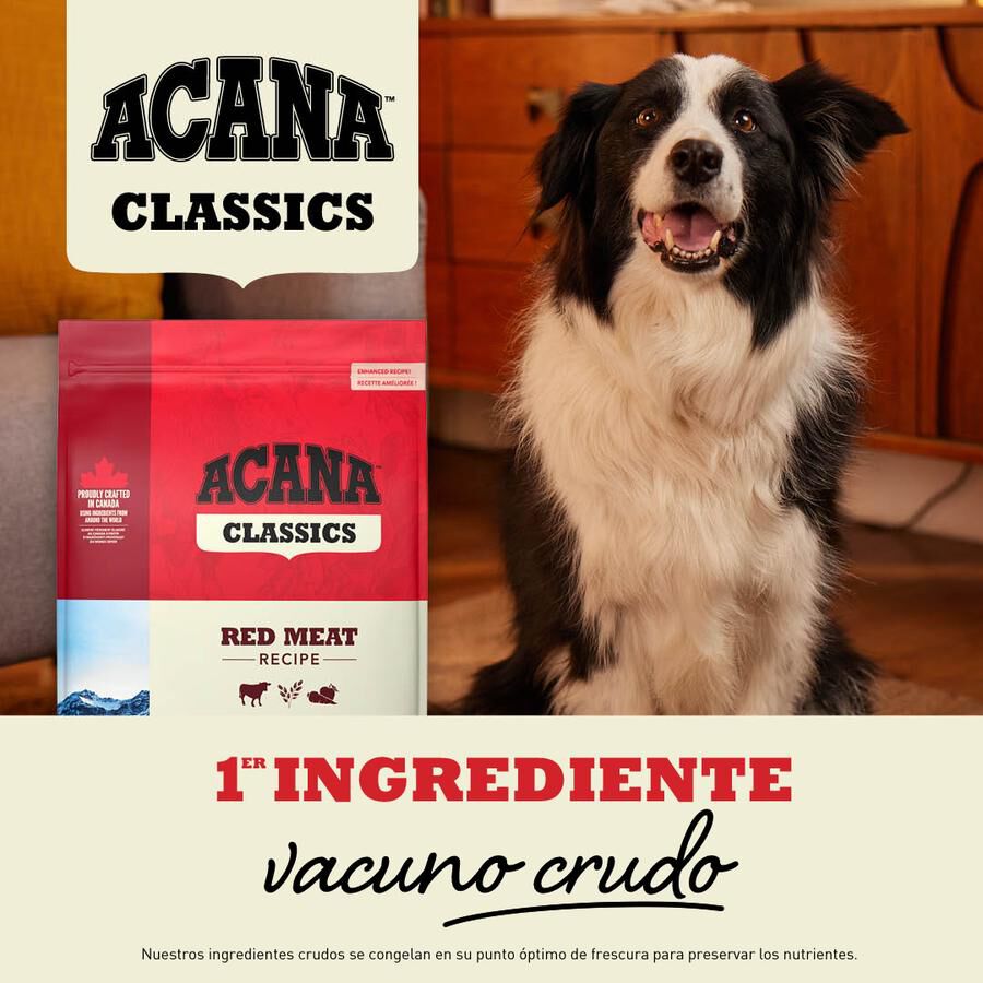 14.5 kg Acana Classics Red Meat pienso para perros, , large Imagen numero 2