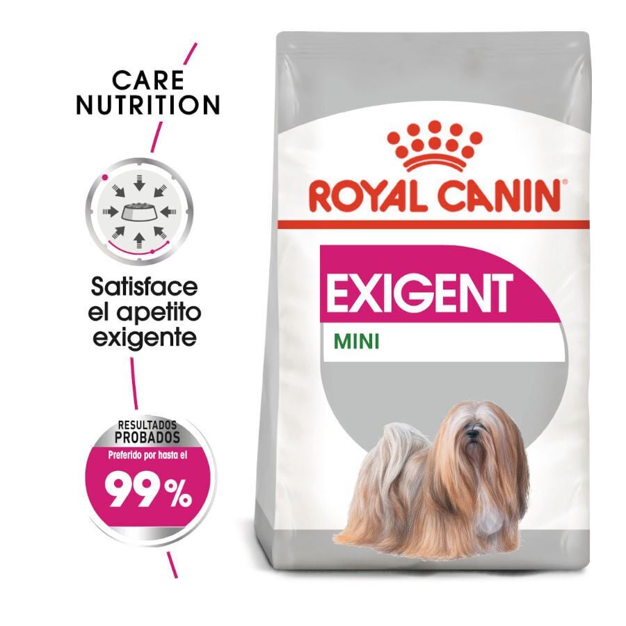 3 kg Royal Canin Exigent Mini pienso para perros, , large indicador imagen numero 2