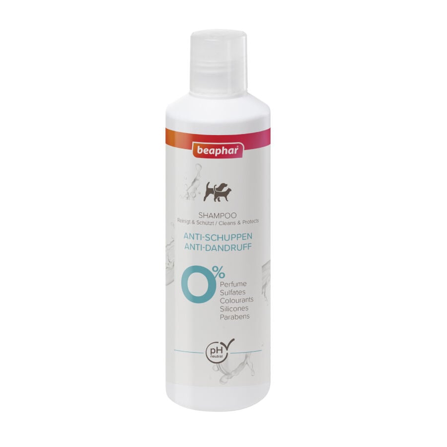Beaphar Champ&uacute; Anticaspa para perros y gatos, , large Imagen numero 1