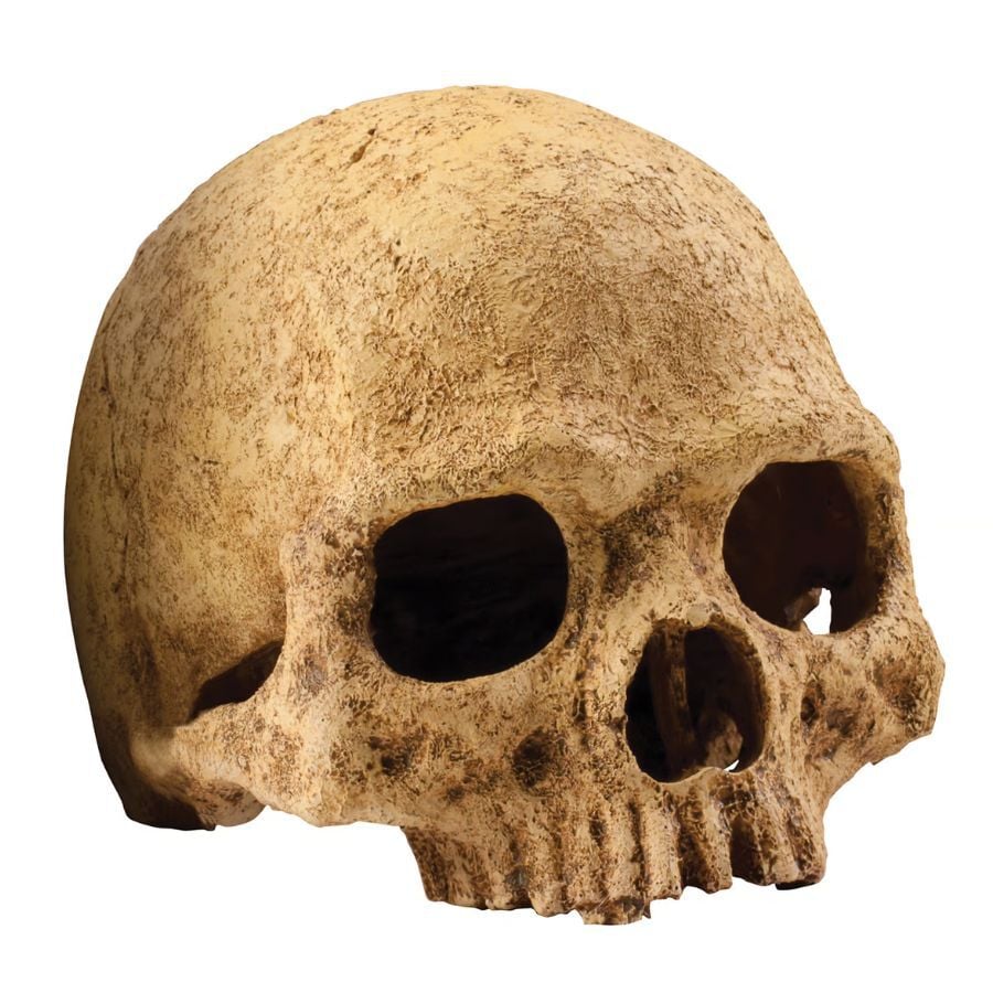 Exoterra Refugio calavera para terrarios