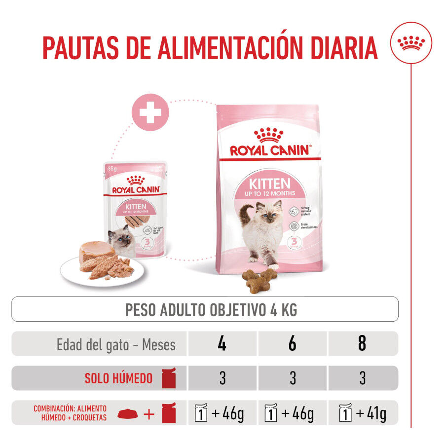 85 g Royal Canin Kitten pat&eacute; sobre para gatos, , large Imagen numero 8