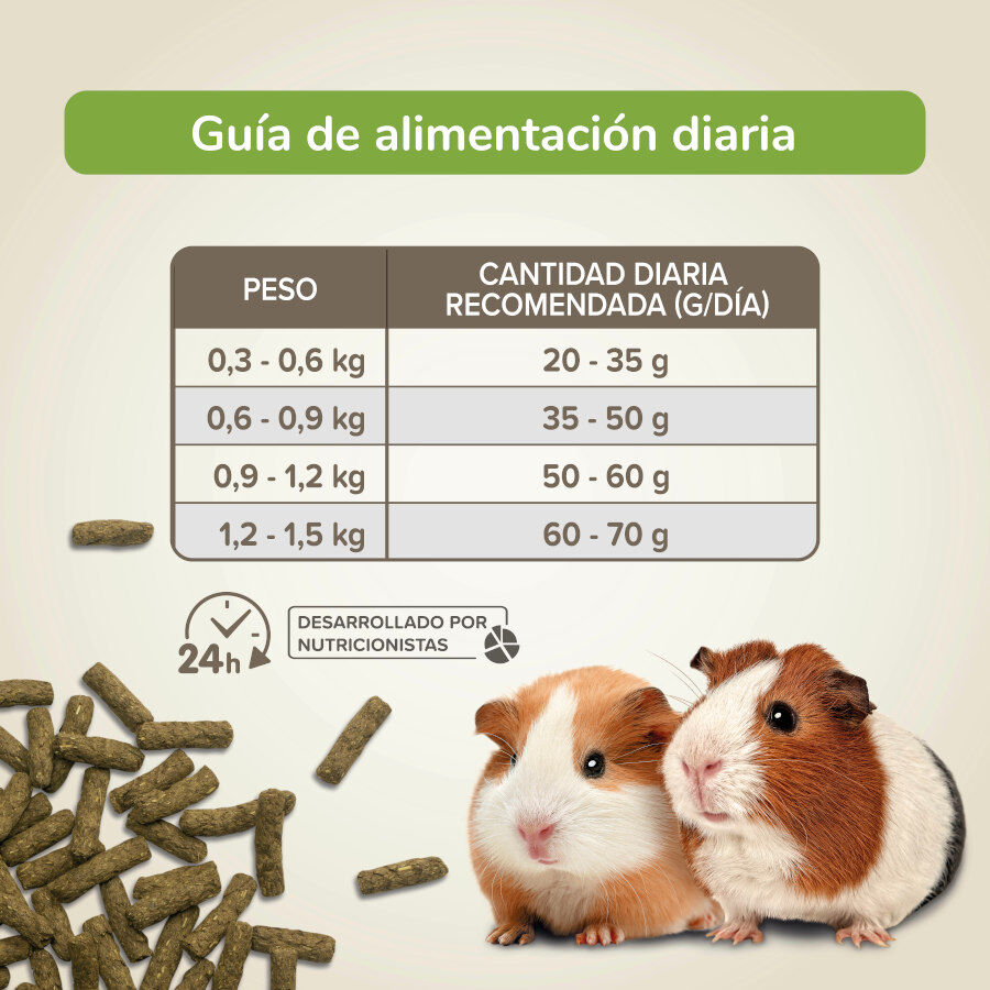 Beaphar Care+ Nature pienso para cobayas, , large indicador imagen numero 4