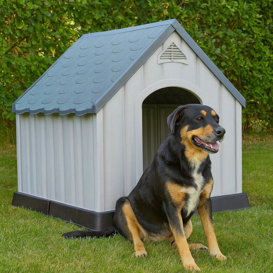 TK-Pet Caseta de Pl&aacute;stico 60% reciclado para perros, , large indicador imagen numero 1