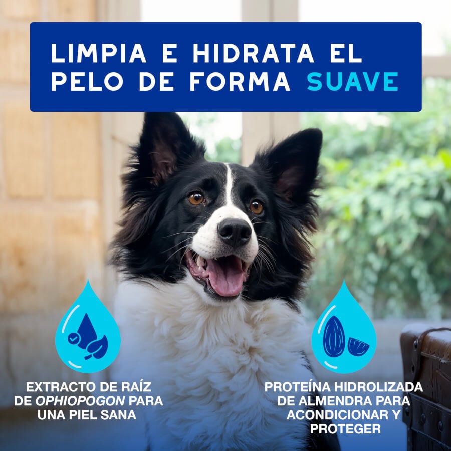 Ceva Douxo Spa Mousse Limpiador Expr&eacute;s para perros, , large indicador imagen numero 7