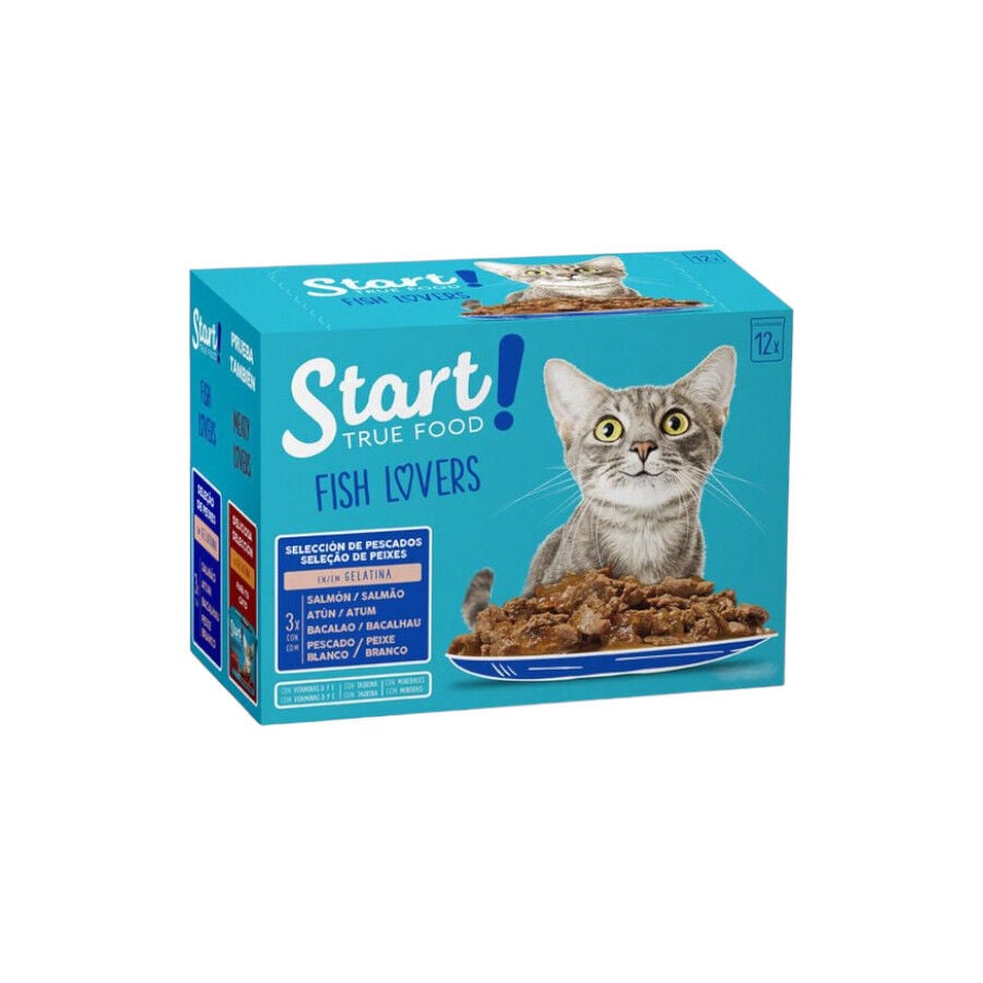 Start Cat Selecci&oacute;n de Pescados sobres en gelatina para gatos - Multipack