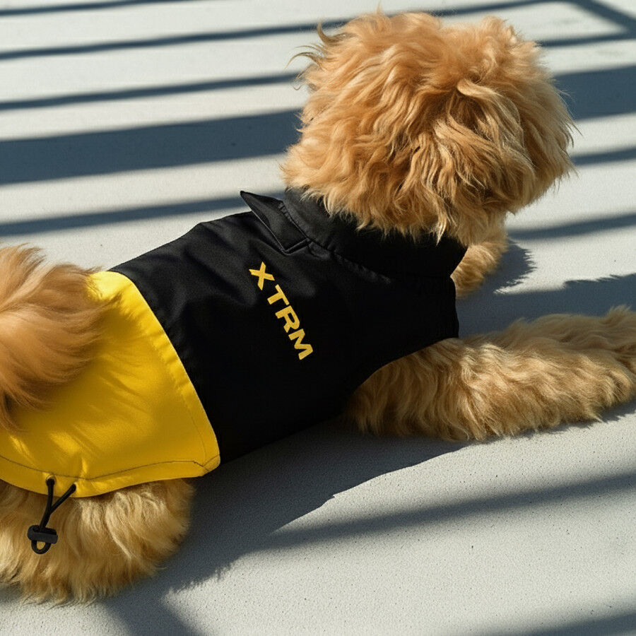 Nayeco X-TRM Chubasquero Negro y Amarillo para perros, , large indicador imagen numero 1