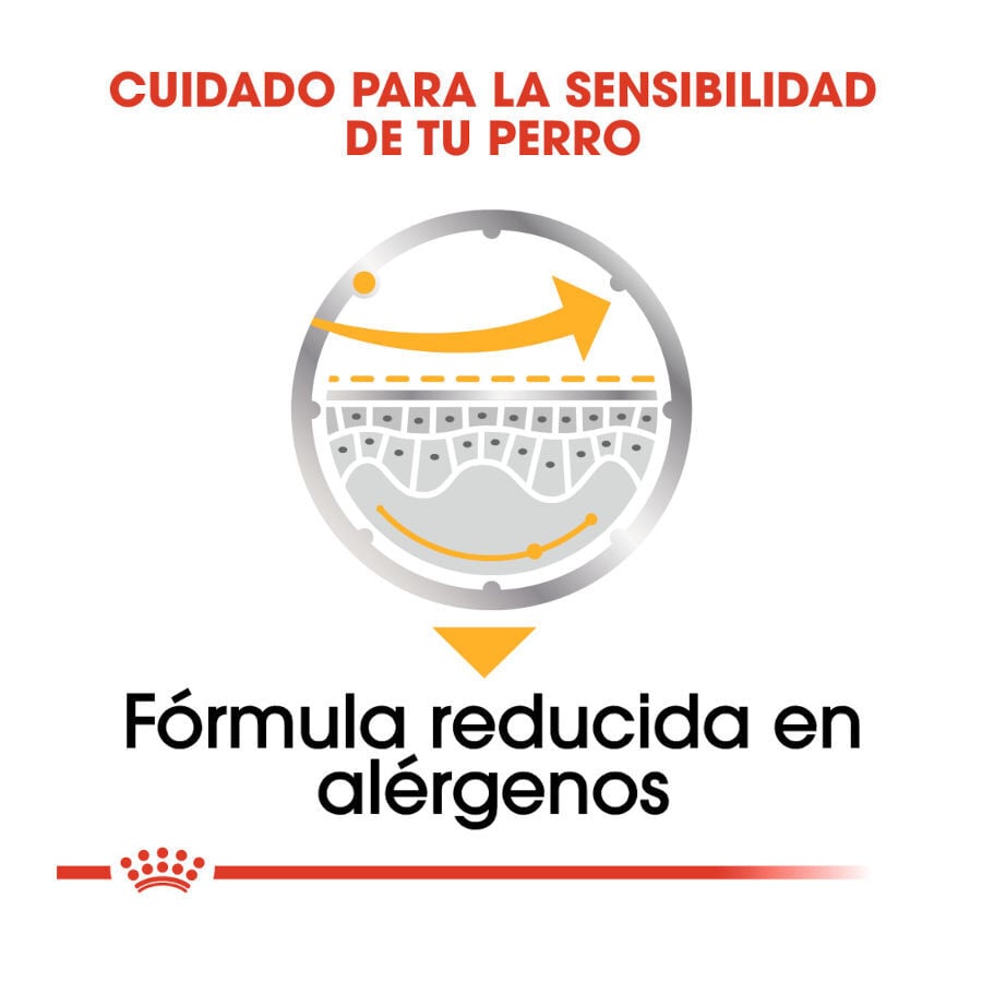 85 g Royal Canin Dermacomfort Sobres Pat&eacute; para perros, , large indicador imagen numero 5