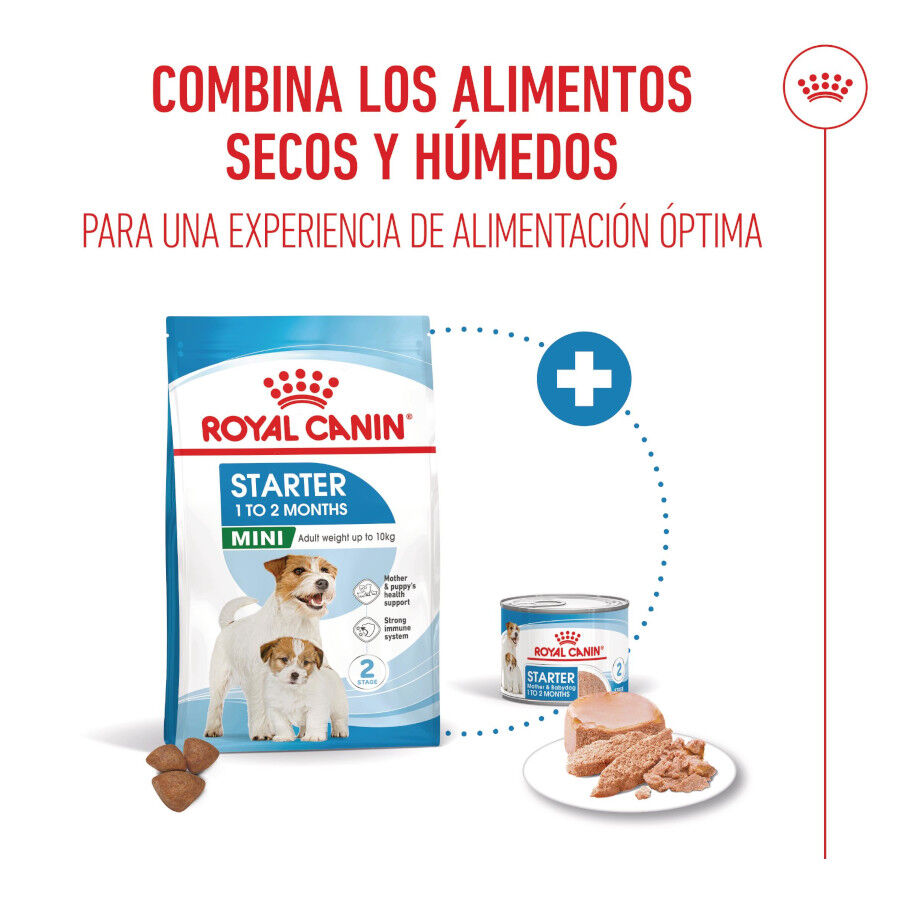 4 kg Royal Canin Starter MotheryBaby Mini pienso para perros, , large Imagen numero 6