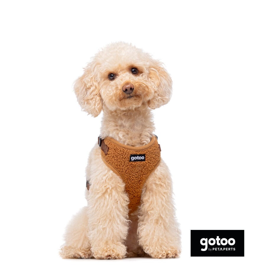 Gotoo Arn&eacute;s ajustable teddy marr&oacute;n para perros, , large indicador imagen numero 3
