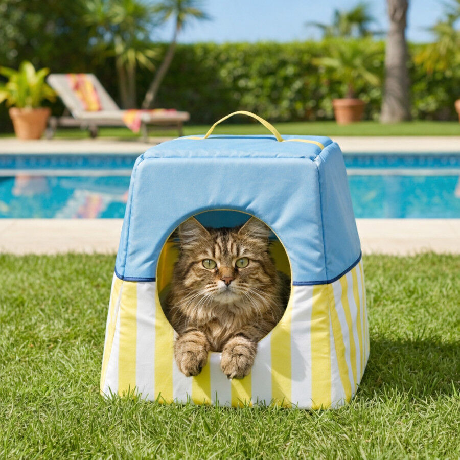 Summer Vibes Cama Cueva Azul y Amarillo para gatos, , large indicador imagen numero 1