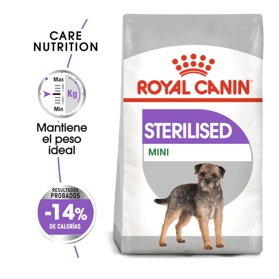 8 kg Royal Canin Sterilised Mini pienso para perros, , large Imagen numero 2
