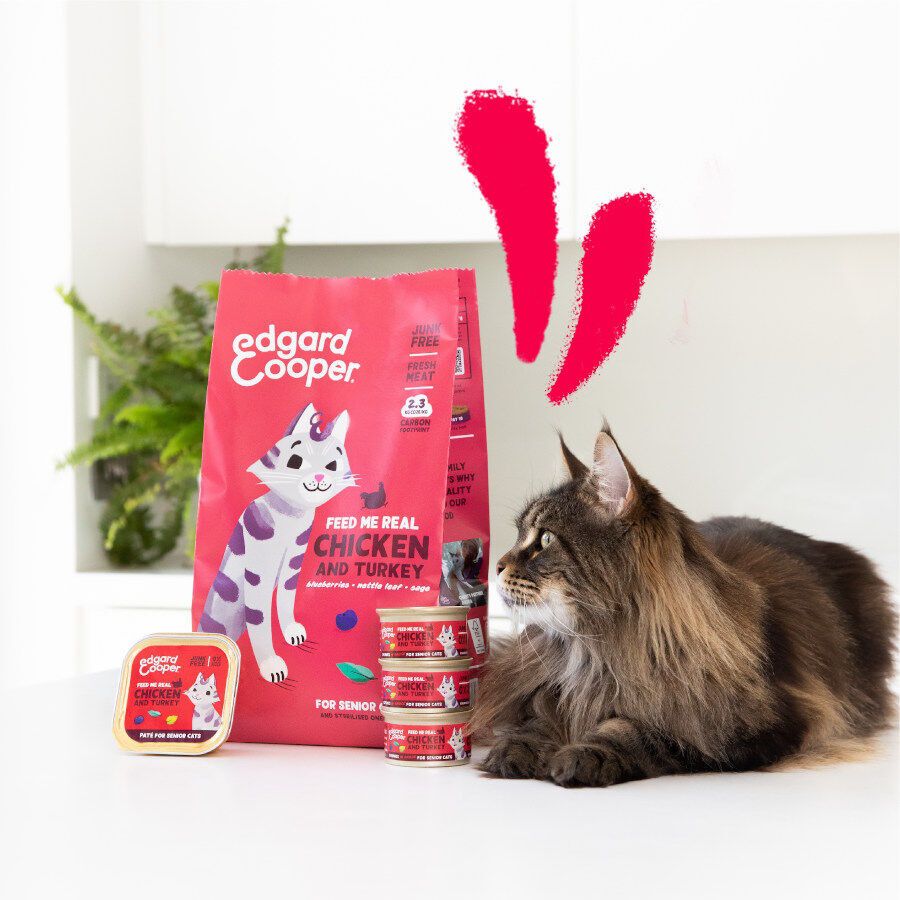 85 g Edgard & Cooper Senior Trocitos de Pollo y Pavo en Salsa lata para gatos, , large Imagen numero 3