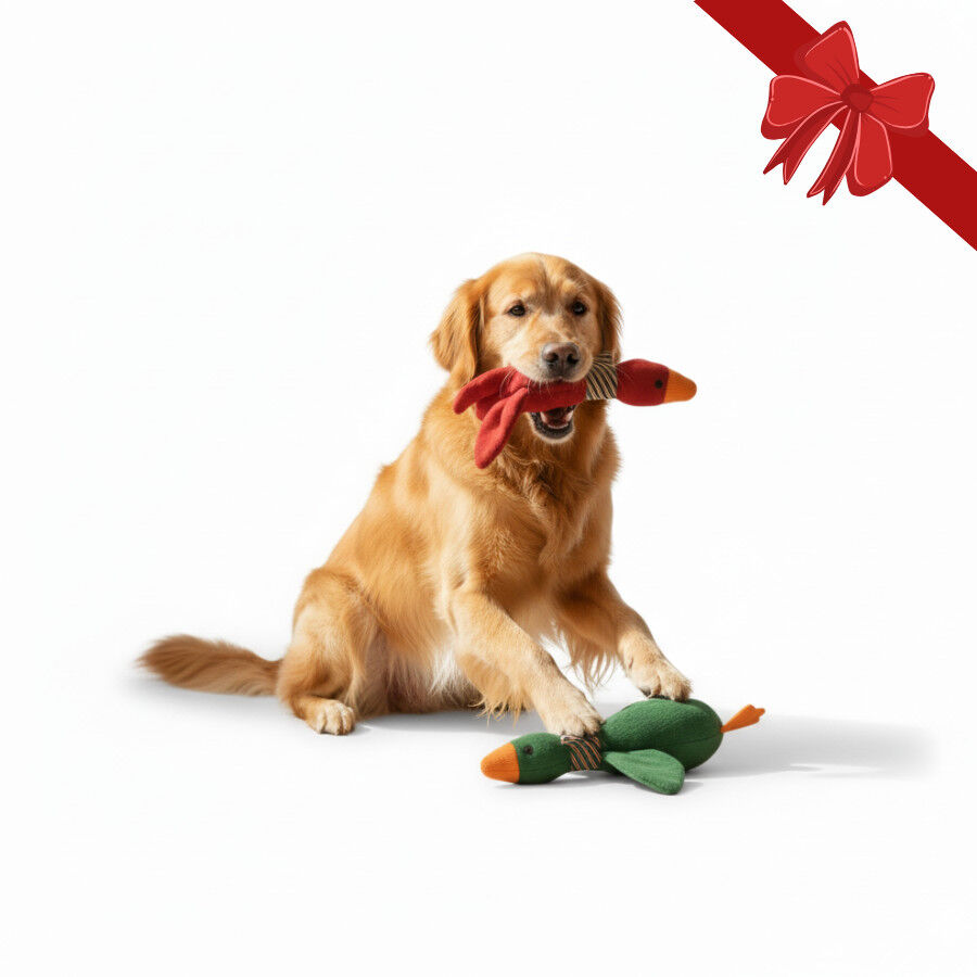 Wonder Christmas Juguete Pato Navide&ntilde;o para perros, , large indicador imagen numero 1