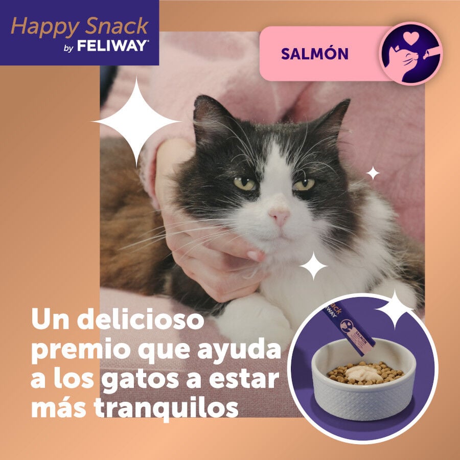 24 barritas Feliway Ceva Happy Snack Salm&oacute;n para gatos, , large indicador imagen numero 2