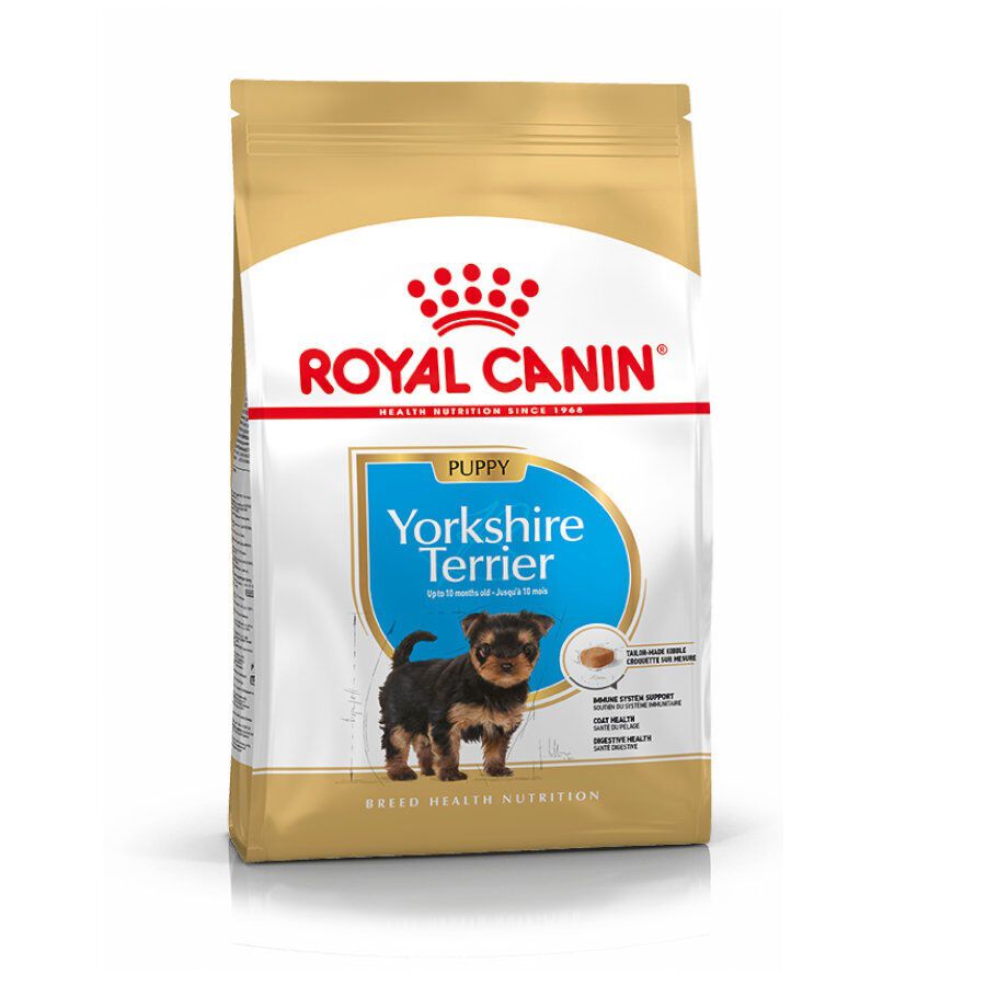 7.5 kg Royal Canin Puppy Yorkshire Terrier pienso para perros, , large indicador imagen numero 1