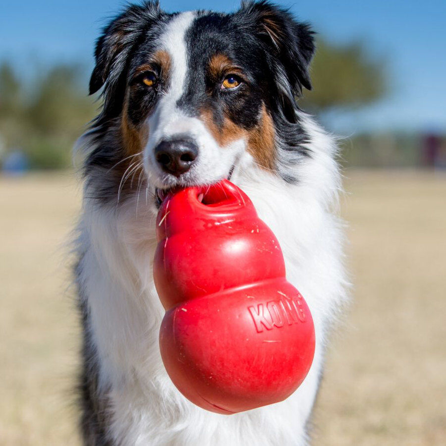 Kong Bounzer Juguete rojo para perros, , large indicador imagen numero 2