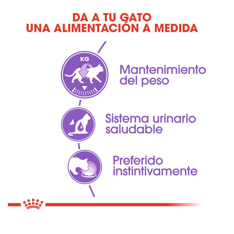 85 g Royal Canin Sterilised Pat&eacute; sobre para gatos, , large Imagen numero 3