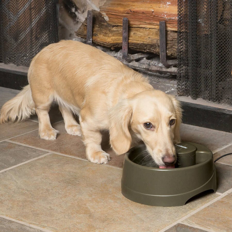 Petsafe Drinkwell Bebedero Autom&aacute;tico para perros y gatos, , large Imagen numero 3