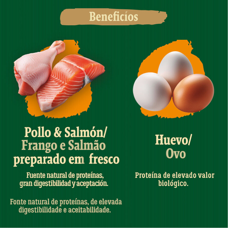 12 kg True Origins Wild Adult Country Water Pollo y Salm&oacute;n pienso para perros, , large indicador imagen numero 5