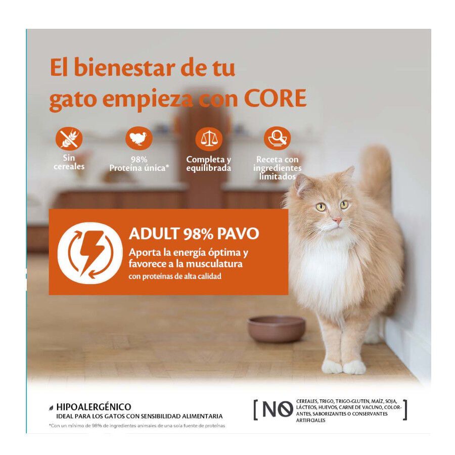 85 g Wellness Core Single Protein pavo tarrina para gatos, , large Imagen numero 2