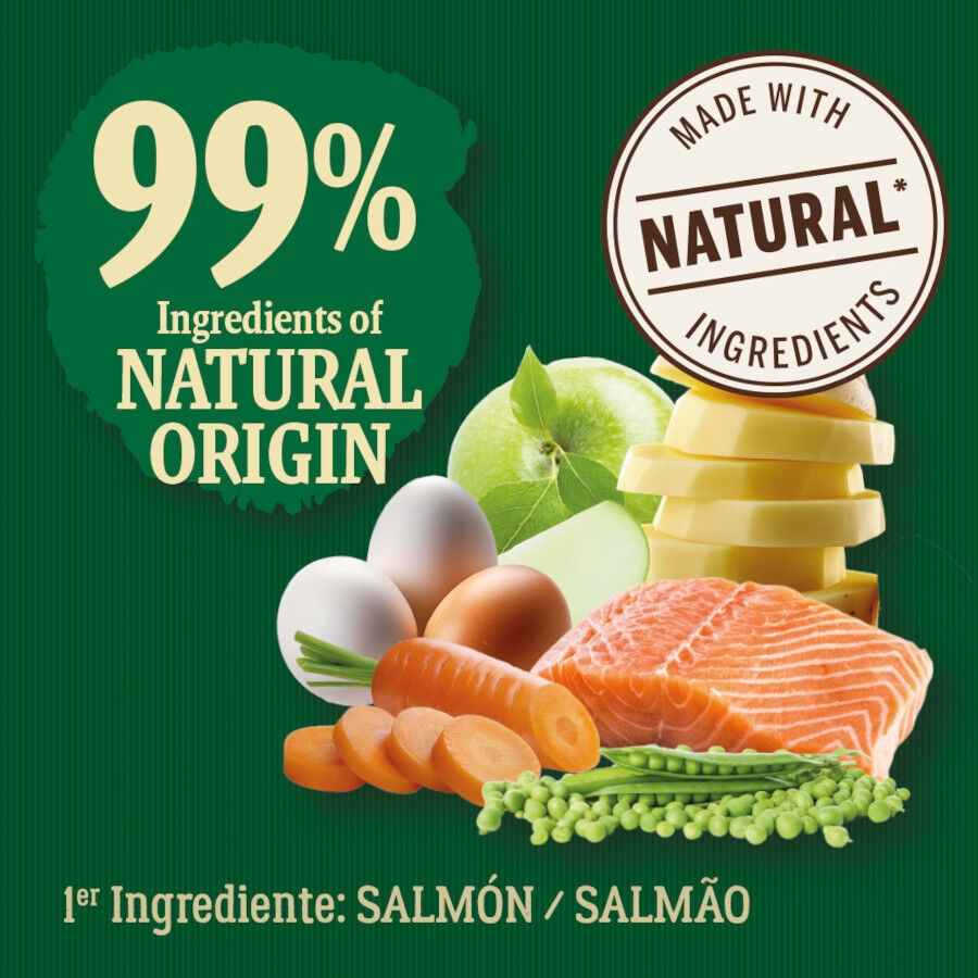 2 kg True Origins Wild Pacific Salm&oacute;n pienso para gatos senior, , large indicador imagen numero 3