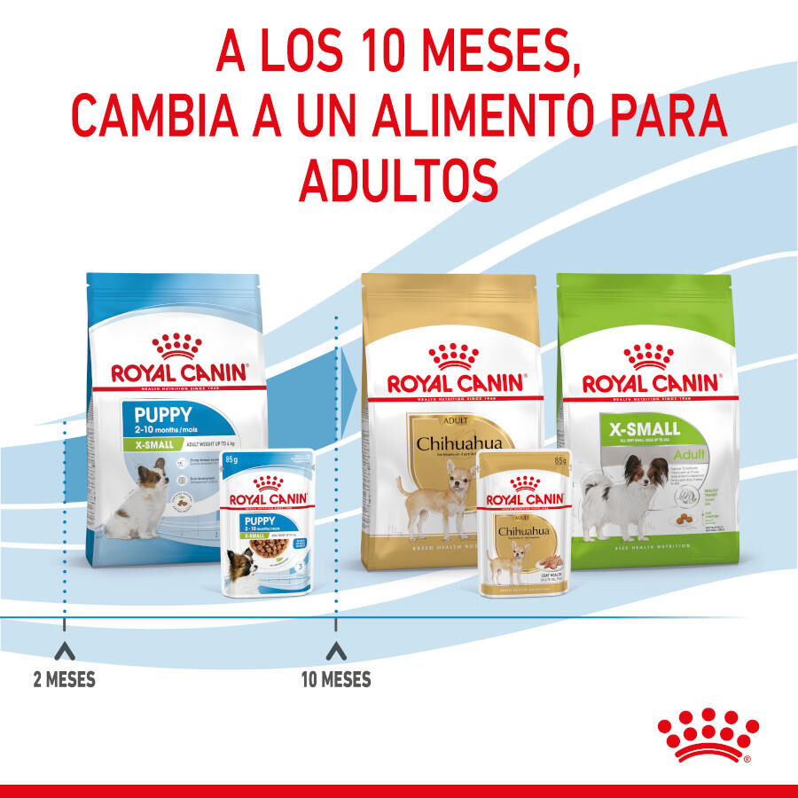 85 g Royal Canin X-Small Puppy Trocitos en Salsa sobre para perros, , large indicador imagen numero 10